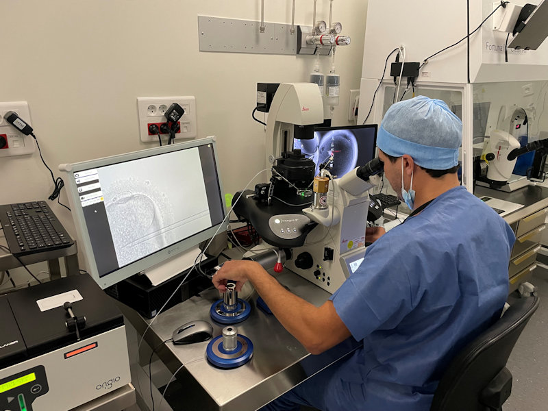 Fécondation in vitro conventionnelle (FIV classique) ou avec micromanipulation (ICSI)